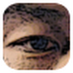 ZoomQuiet