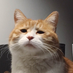 233