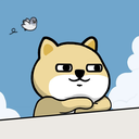 steve009