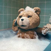 coinforfun