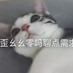 tianyutingxy