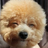 sssocalled