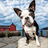 yijianc