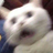 emit