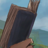 zibin