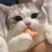 senup
