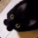 tojonozomi