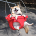 aa1330415