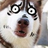 bjwsrdx