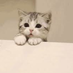 smallbuding