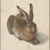 QRabbit