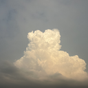 w1287928345
