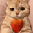 cat404