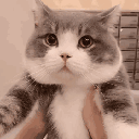 nnnnnnamgn