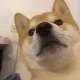 JLOG