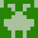 tortoise