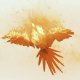 Pollo