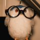 ClarkeDLH