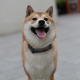 CodingWasFun